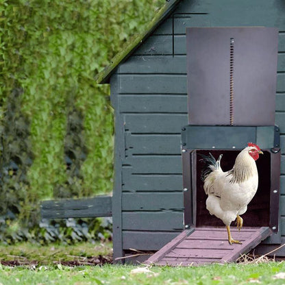 RYNX | Bird Farm Automatic Chicken Coop Door