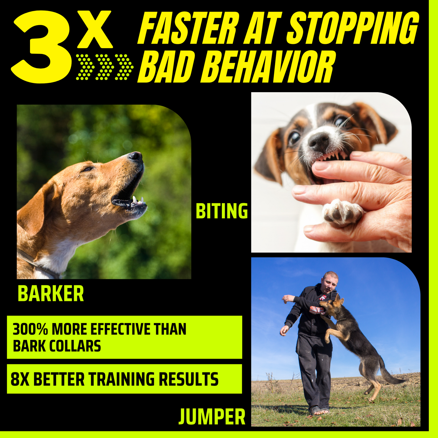 Rynx | Instant Calm Trainer – BarxBuddy Transform dog's behavior with one click
