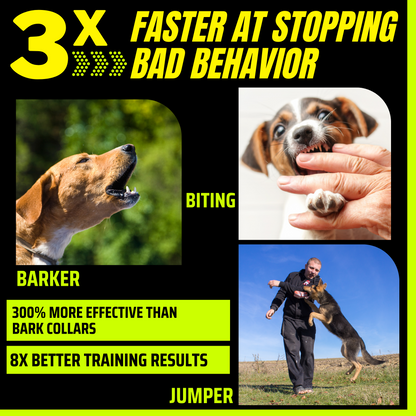 Rynx | Instant Calm Trainer – BarxBuddy Transform dog's behavior with one click