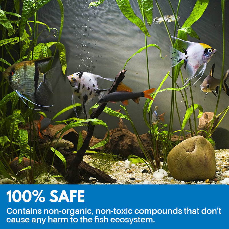Rynx | Aquarium Cleaning Powder