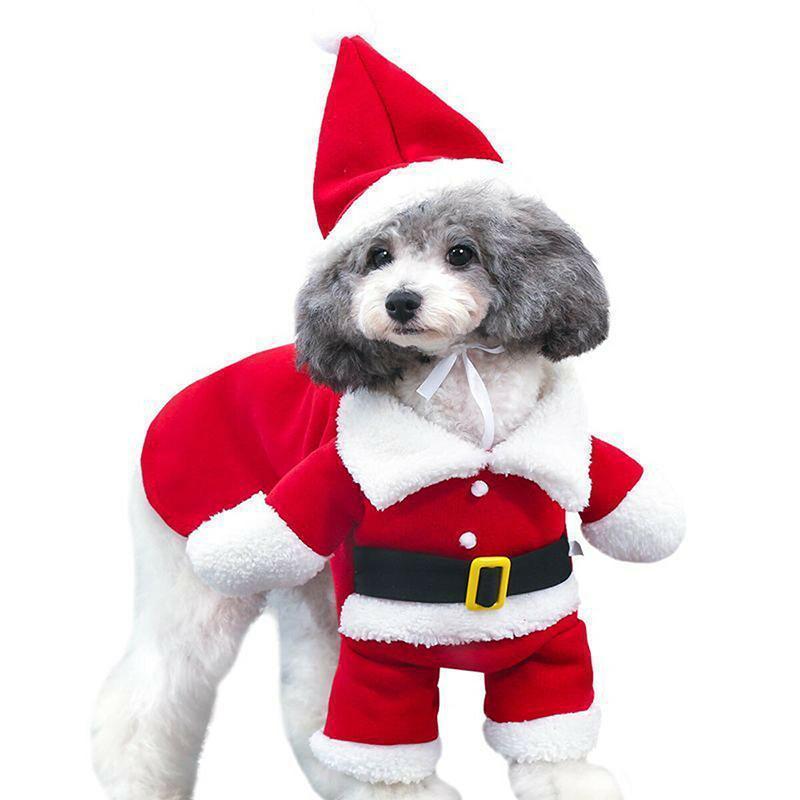 RYNX | Pet Costumes