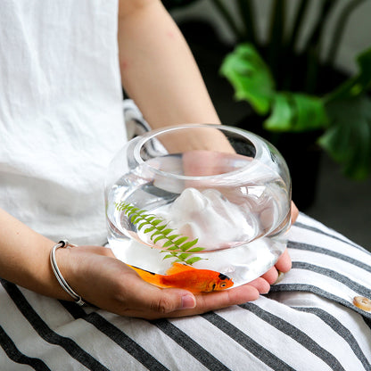 Rynx | Mini Glass Fish Bowl