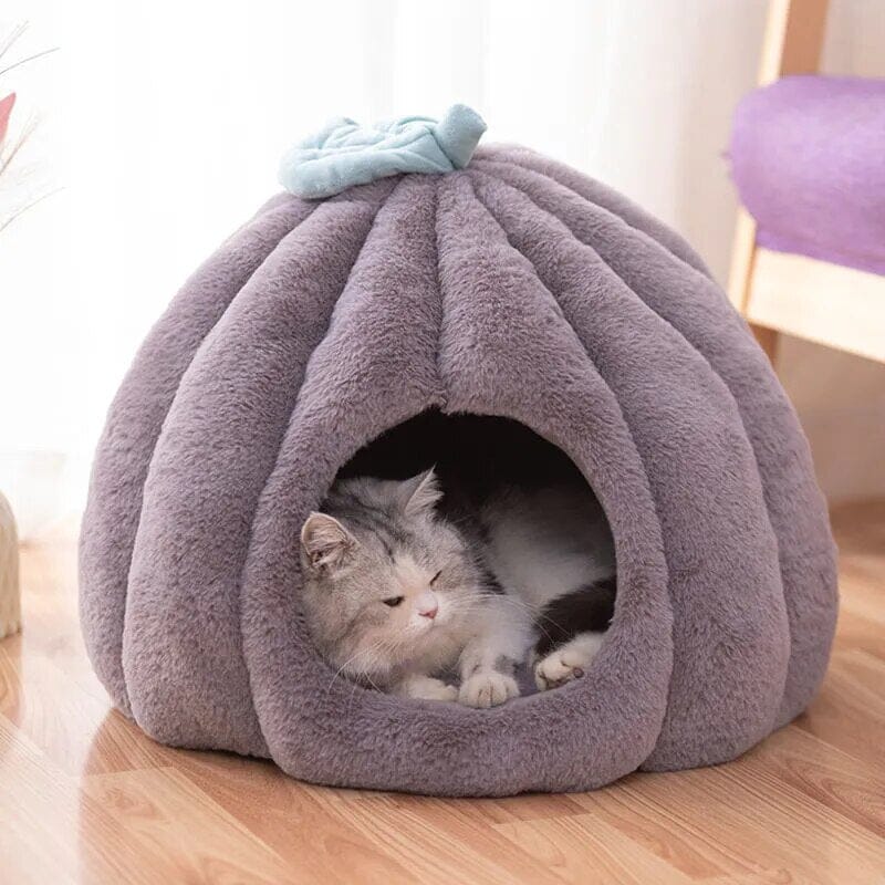 Rynx | feline fortress
