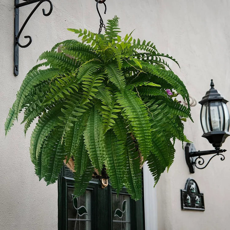 RYNX | Resilient, Life-Like Artificial Boston Fern