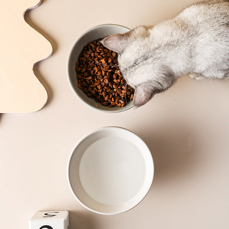 Rynx | Raised Ceramic Cat and Small Dog Bowl