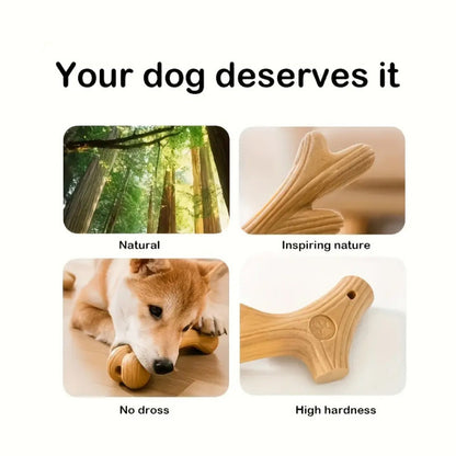 Rynx | Bite-Resistant Dog Chew Toy