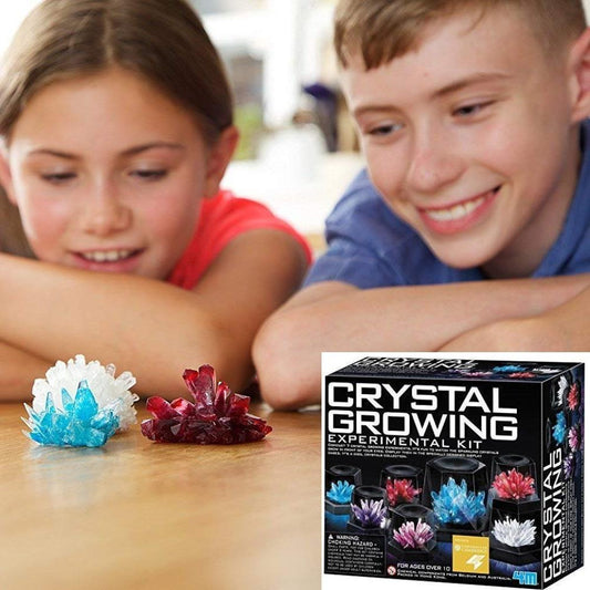 Rynx | Crystal Growing Experiment Set
