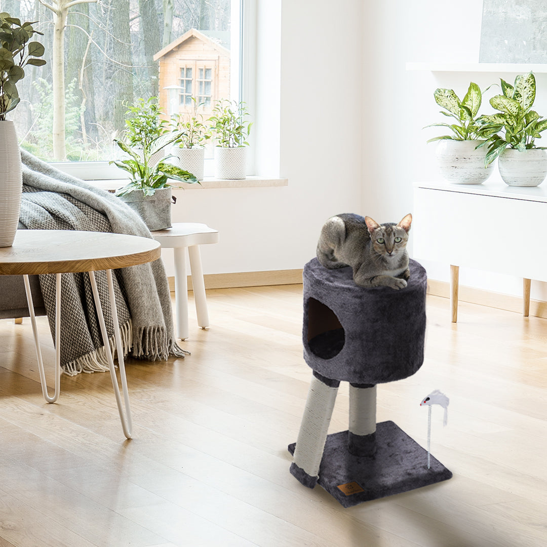 Rynx | Cat Tree | Cube with Scratching Ladder with Mouse Teaser Toys - Gray