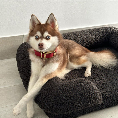 Rynx | Teddy Fleece Memory Foam Sofa Pet Bed with Bolster - Coal