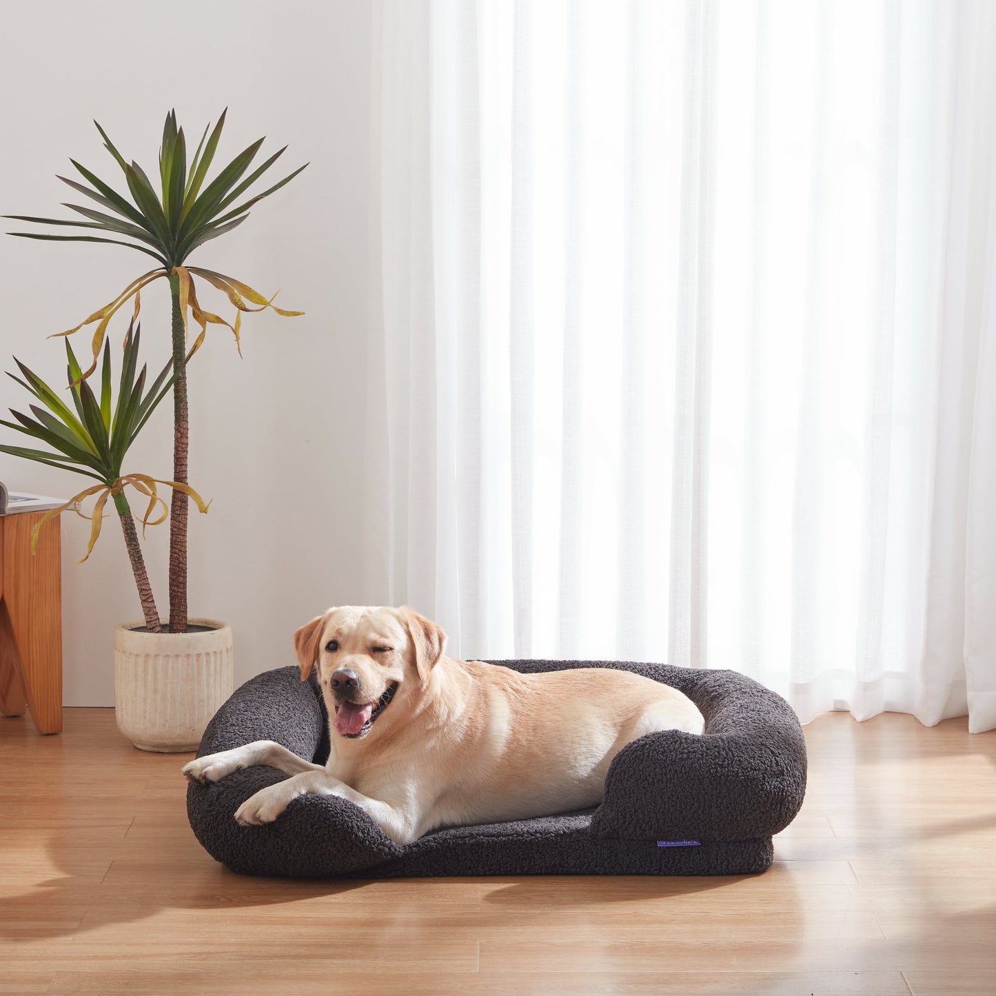 Rynx | Teddy Fleece Memory Foam Sofa Pet Bed with Bolster - Coal