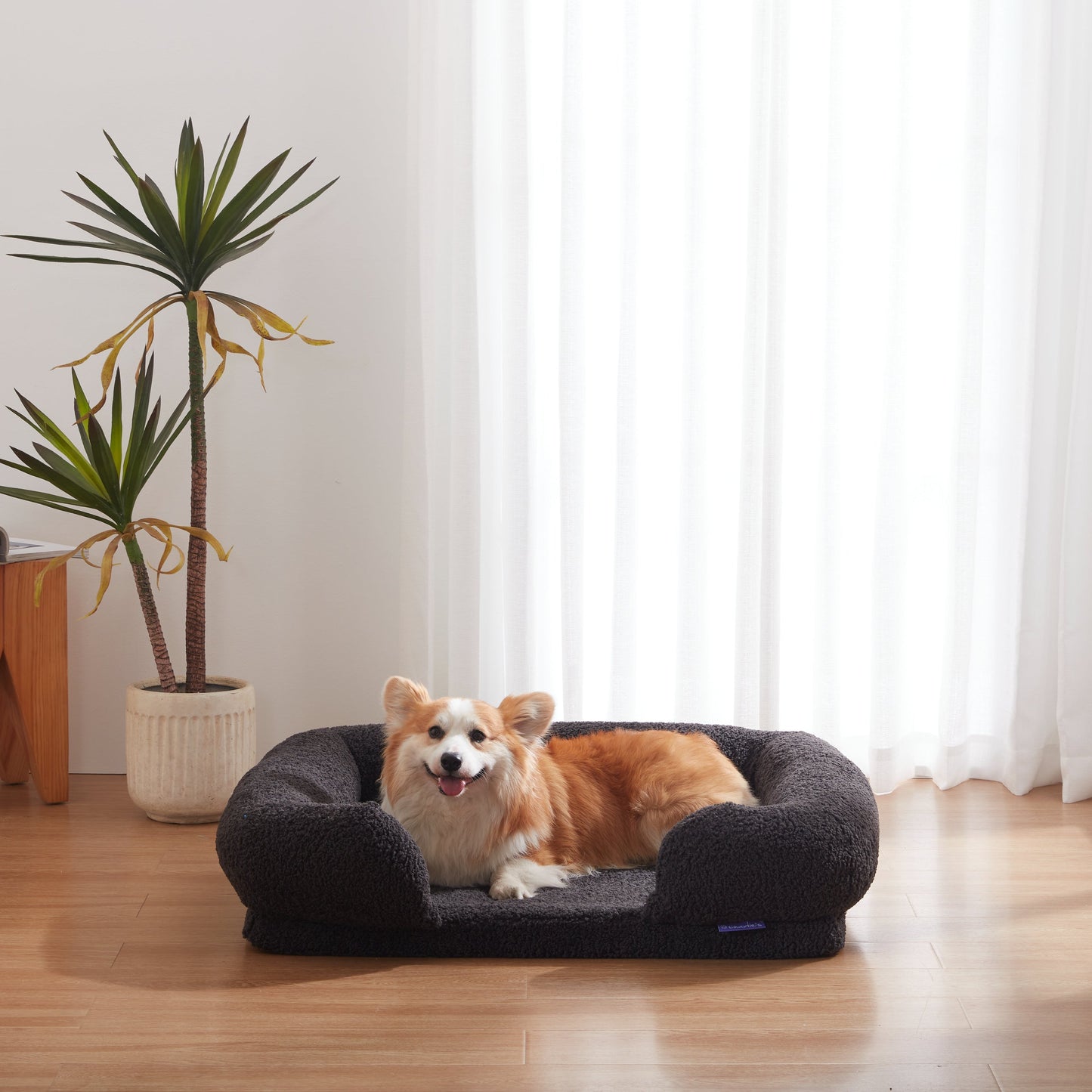 Rynx | Teddy Fleece Memory Foam Sofa Pet Bed with Bolster - Coal