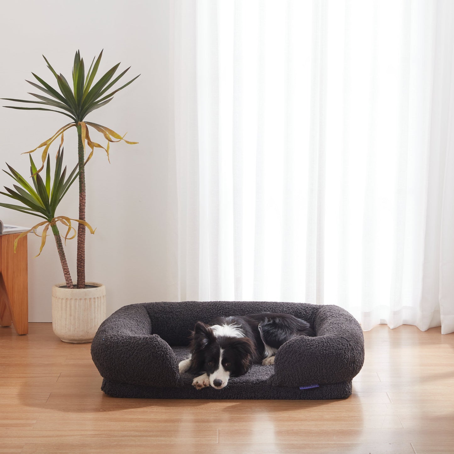 Rynx | Teddy Fleece Memory Foam Sofa Pet Bed with Bolster - Coal