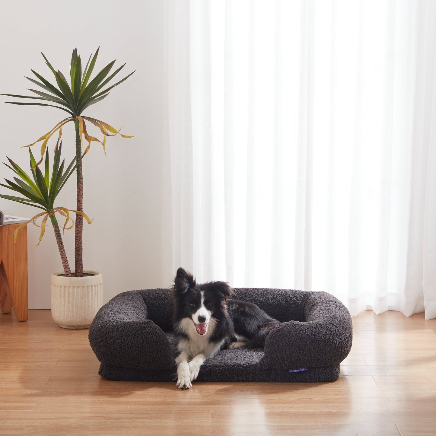 Rynx | Teddy Fleece Memory Foam Sofa Pet Bed with Bolster - Coal