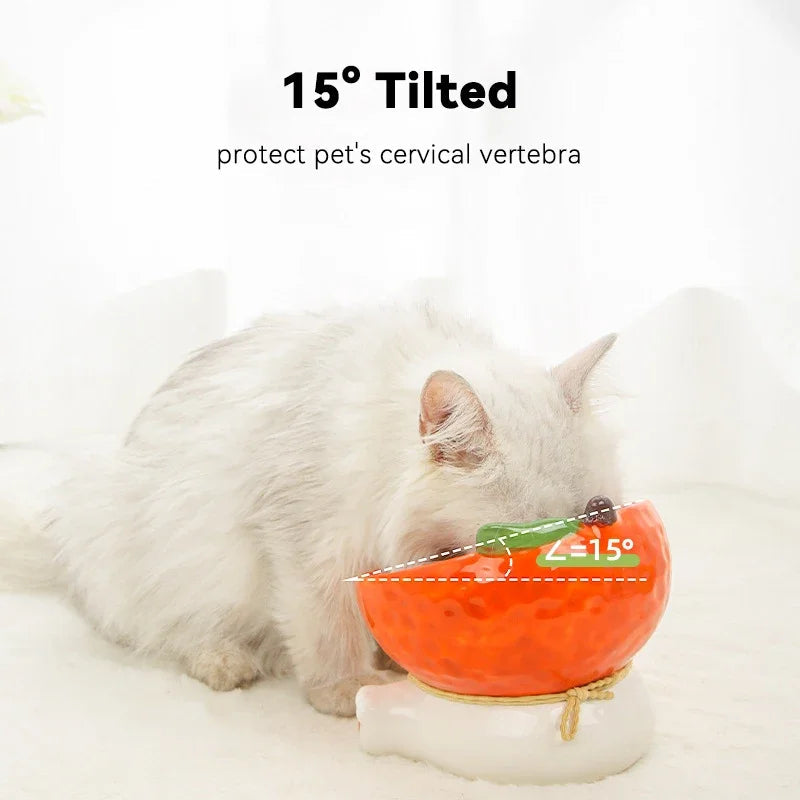 Rynx | Elevated Cat Ceramic Bowl with Tilted Design for Easy Eating and Drinking