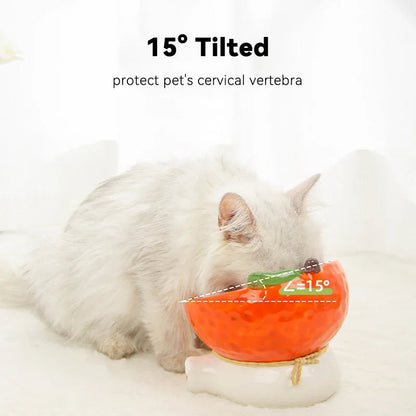 Rynx | Elevated Cat Ceramic Bowl with Tilted Design for Easy Eating and Drinking