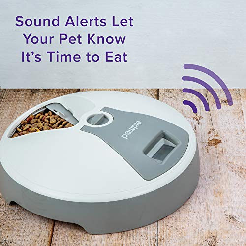 Rynx | Automatic 6 Meal Portion Control Pet Food Dispenser