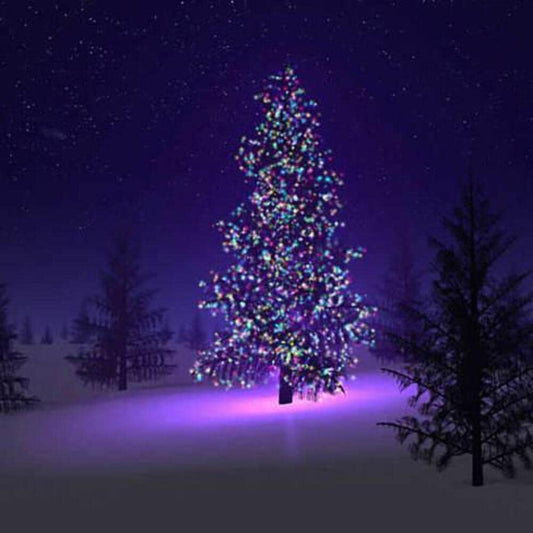 Rynx | Vistashops Colorful Glittering Solar Mini Led Christmas Lights - Perfect Holiday Decor