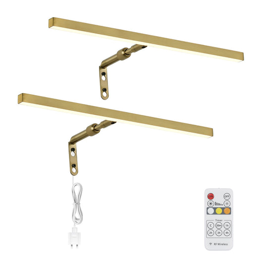 Rynx | Pasoar 2 Pack Brass Picture Lighting For Paintings Plug In, 16'' 4W Adjustable Led Gold Picture Lighting Art Light, Remote Control Ga