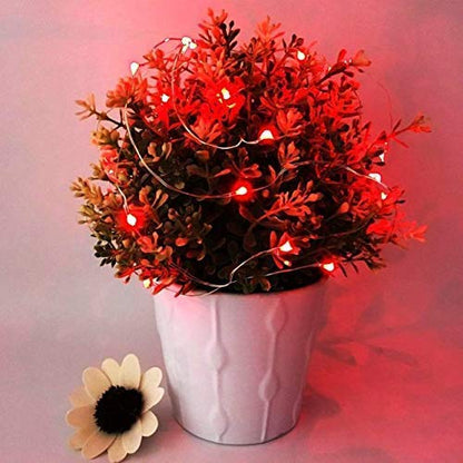 Rynx | Ninite Light Sources 24 Pack Red Battery-Operated Fairy Lights, 6.6Ft, 20 LEDs For DIY Events