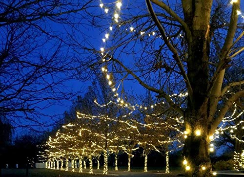 Rynx | Holiday Lights 50Ft 100 Led Warm White Outdoor Christmas Lights, Brown Wire, UL Listed
