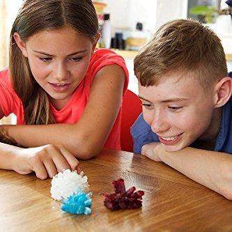 Rynx | Crystal Growing Experiment Set
