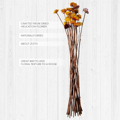 Rynx | Dried Helication Flower Bouquet