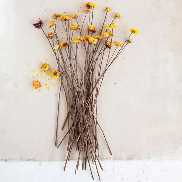 Rynx | Dried Helication Flower Bouquet