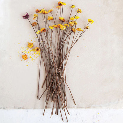 Rynx | Dried Helication Flower Bouquet