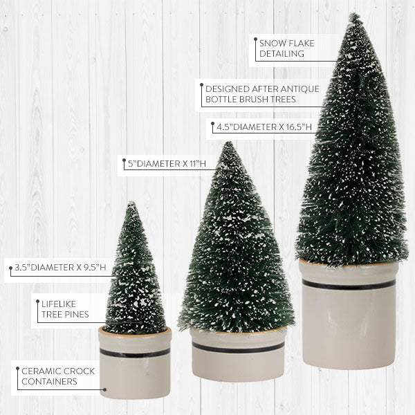 Rynx | Bottle brush trees with ceramic pots, set of 3