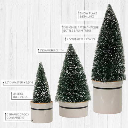 Rynx | Bottle brush trees with ceramic pots, set of 3