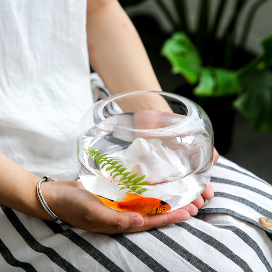 Rynx | Mini Glass Fish Bowl