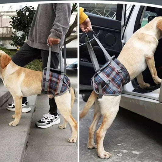 RYNX | Orthopedic Strap For Hind Legs