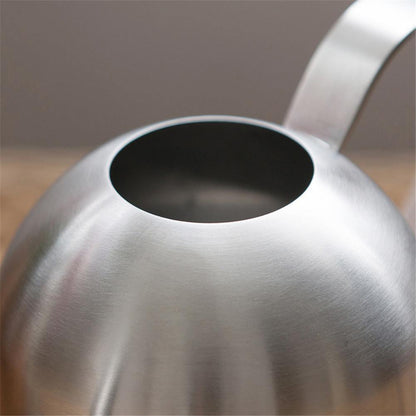 RYNX | Stainless Steel Watering Can with Flexible Neck | Modern Design | Perfect Watering | Rustproof
