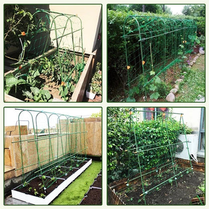 Rynx | Greenhouse Accessories Plant Connection Buckle