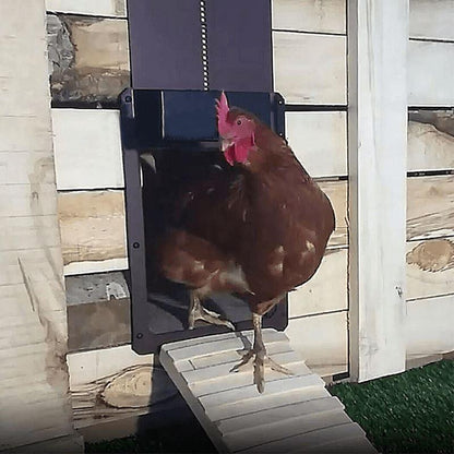 RYNX | Bird Farm Automatic Chicken Coop Door