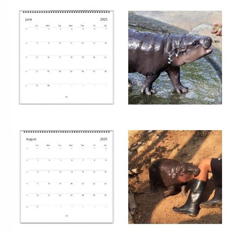 Rynx | Moo Deng Calendar | Calendar 2025