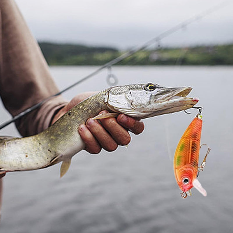 RYNX | Presale>>24 Days Christmas Countdown Fish Tackle Set
