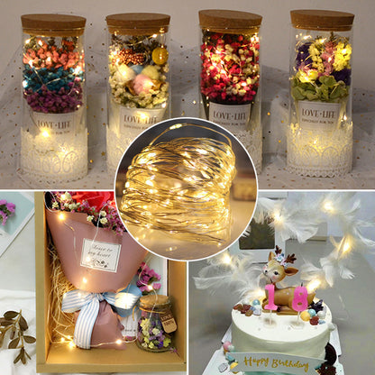 Rynx | USB remote control copper wire light guide for holiday decoration