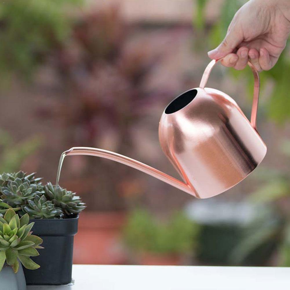 RYNX | Stainless Steel Watering Can with Flexible Neck | Modern Design | Perfect Watering | Rustproof