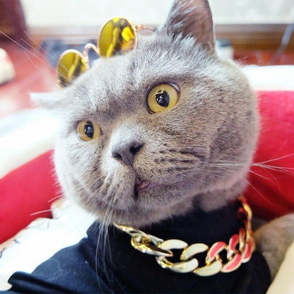 Rynx | Pet Jewelry Thick Gold Chain Collar