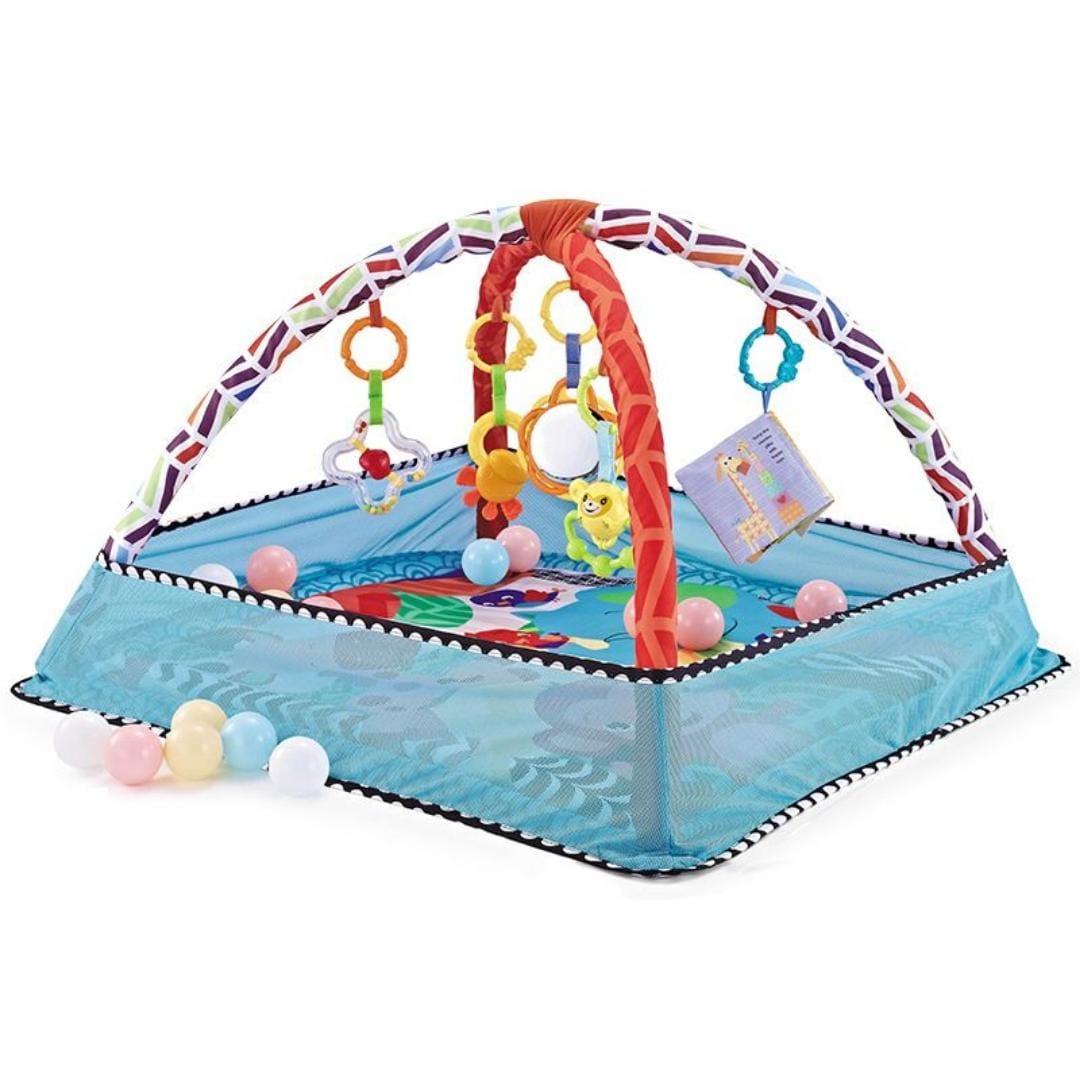 Rynx | Baby Activity Gym & foldable play mat with 18 balls