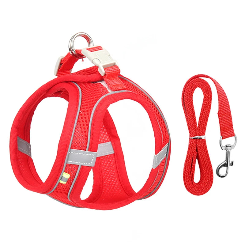 Rynx | Adjustable Summer Mesh Harness and Leash Set for Small Dogs and Cats