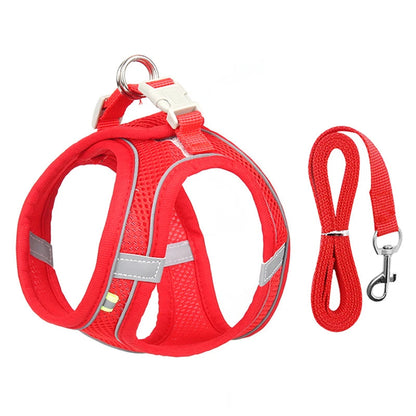 Rynx | Adjustable Summer Mesh Harness and Leash Set for Small Dogs and Cats
