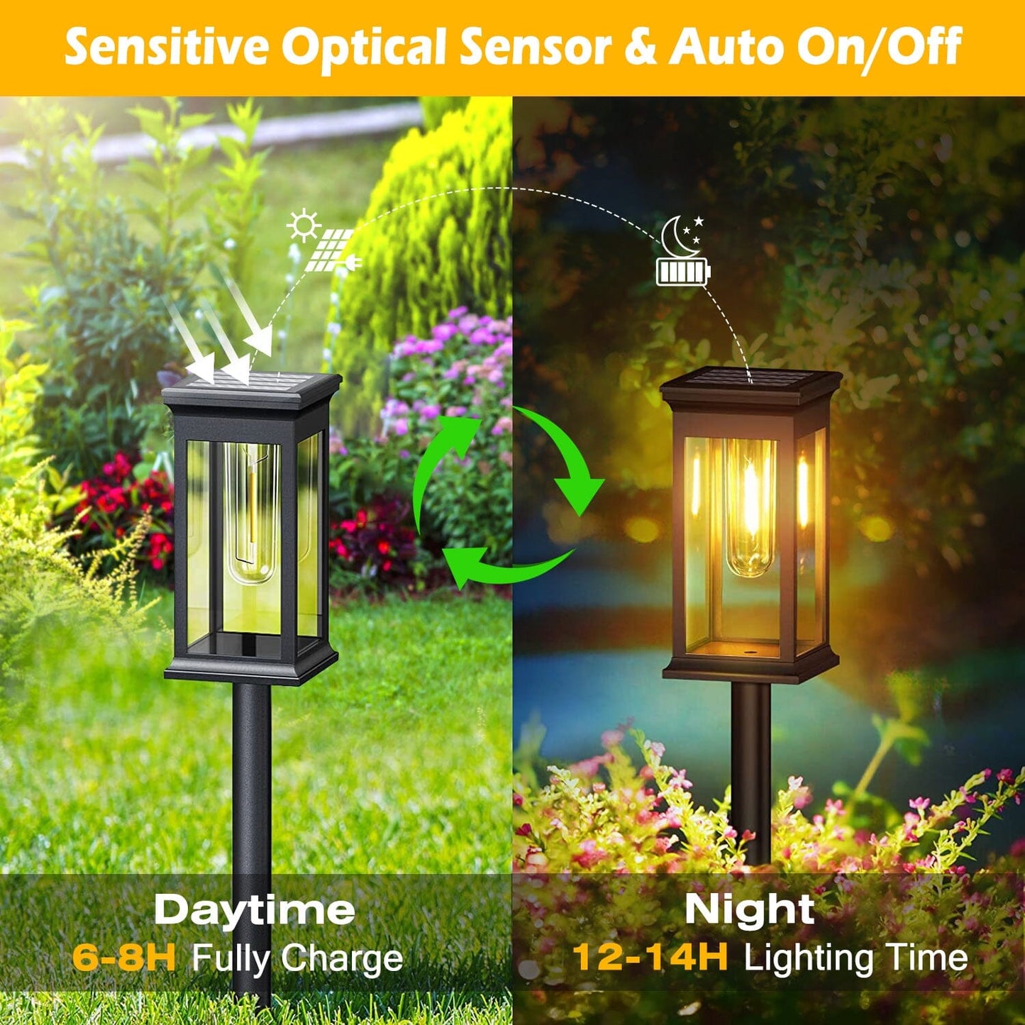 Rynx | 6-Pack: Solar Powered Stake Light IP65 Waterproof Automatic On Off