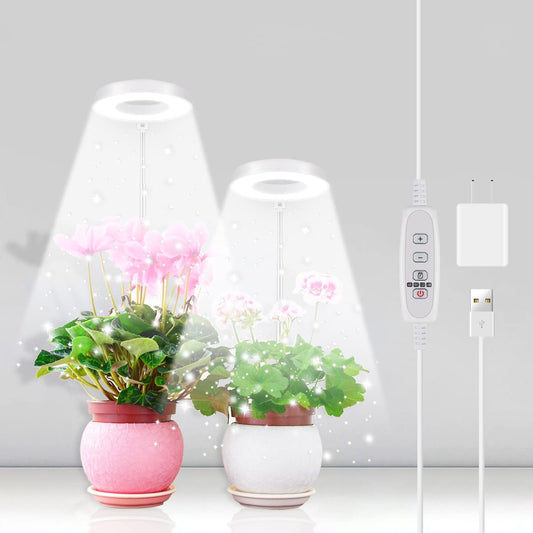 Rynx | 2 Pack Halo Plant Growth Light, 6000K White Led Full Spectrum Growth Lamp For Indoor Plants, Succulents, Mini Bonsai, Small Plants, Height Adjustable, Dimmable & Timer 4/8/12/18 Hours