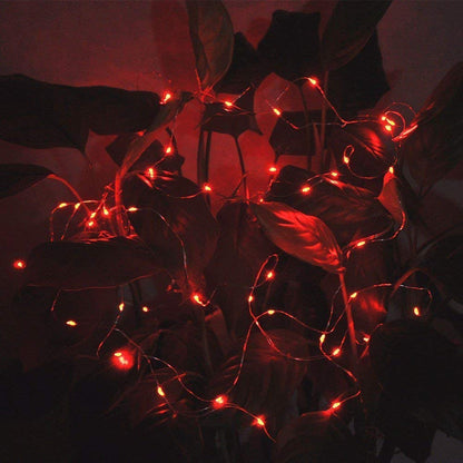 Rynx | Ninite Light Sources 24 Pack Red Battery-Operated Fairy Lights, 6.6Ft, 20 LEDs For DIY Events