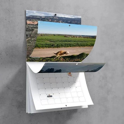 Rynx | 2024 Funniest Calendar-Dogs Pooping In Beautiful Places | "Artistic Expression" Furry Friends