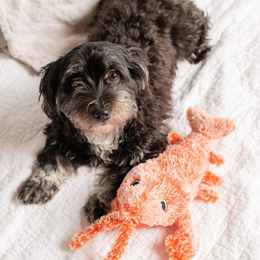Rynx | interactive lobster shape for dogs