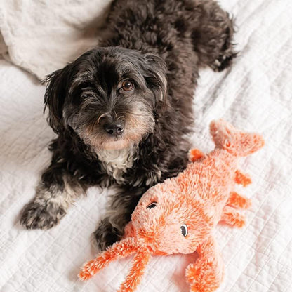 Rynx | interactive lobster shape for dogs