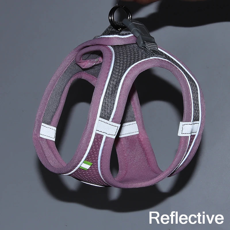 Rynx | Adjustable Summer Mesh Harness and Leash Set for Small Dogs and Cats